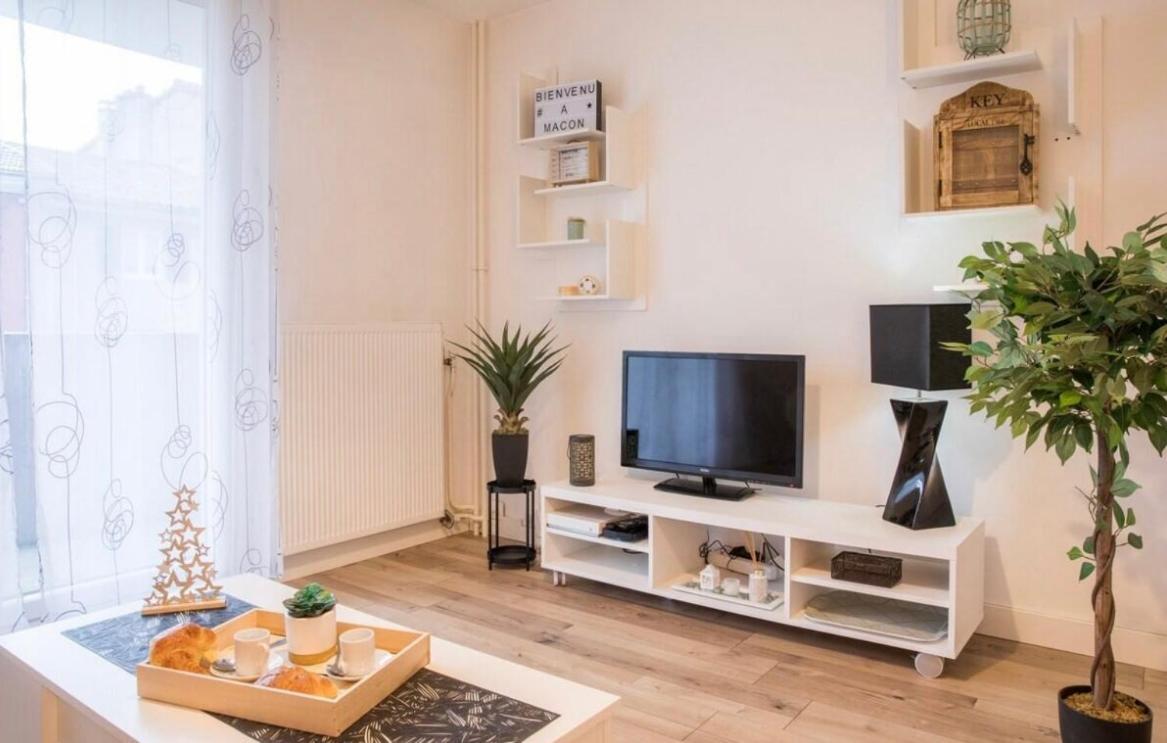 Charmant Appartement T1 Mâcon Buitenkant foto